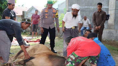 Wakapolresta Banda Aceh Serahkan Hewan Qurban ke Sebuah Dayah