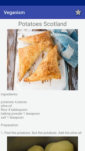 Vegan Recipes  Recipes for vegans Offline