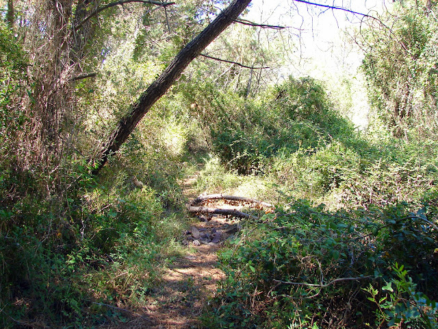 Barranco de Les Santes