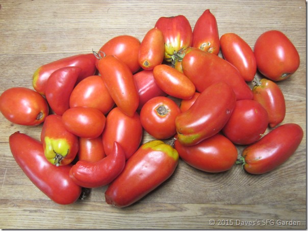 Paste_tomatoes