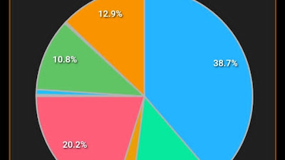 Hasil polling sementara M,Fuadi Luthfi unggul menduduki peringkat ke satu dari Caleg DPRD DKI PKB dapil V