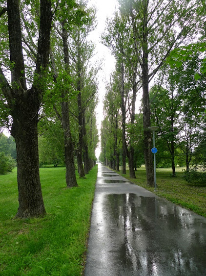 В поисках Дон Кихота (Екатеринбург - Португалия)