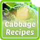 Download Cabbage Recipes For PC Windows and Mac 1.3