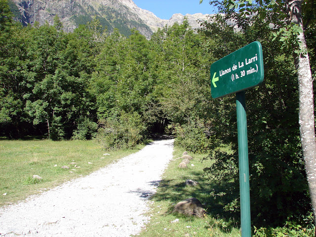  senderismo - Valle de Pineta - Cascada Cinca - Cascada de La Larri - Llanos de La Larri