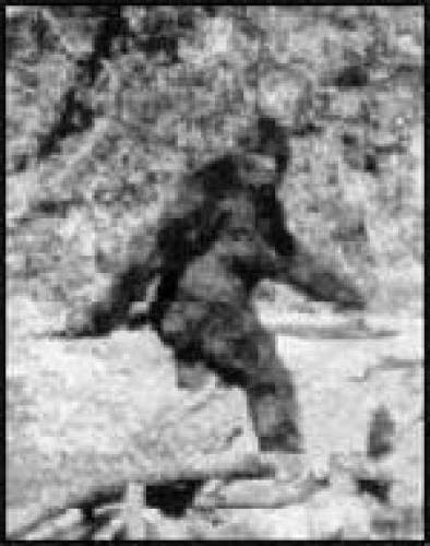 Big Foot Revisited