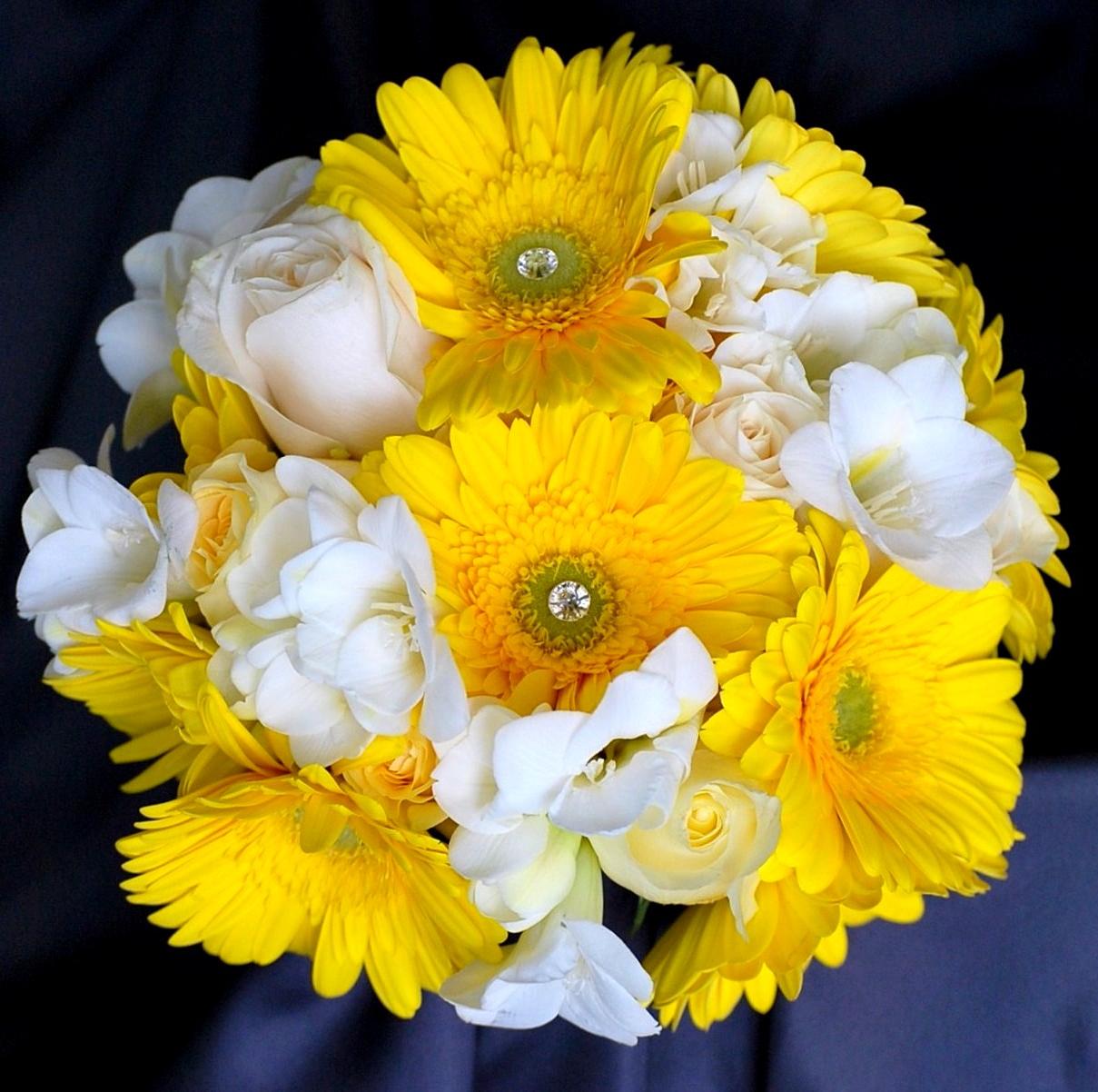 Bright yellow gerbera daisies