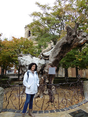 Soria y Calatañazor - Los colores del otoño por tierras del Duero: Soria y alrededores con niños (14)