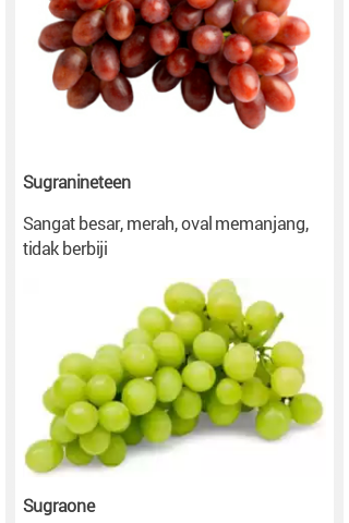  Macam  macam  Jenis Buah Anggur  dan Ciri cirinya 1001 