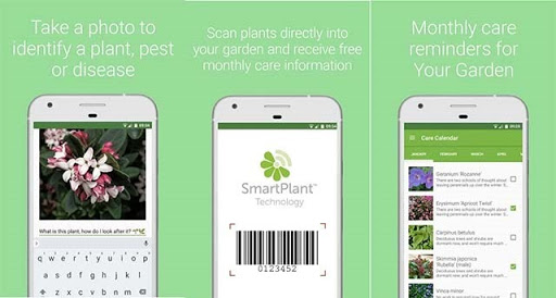 smart-plant