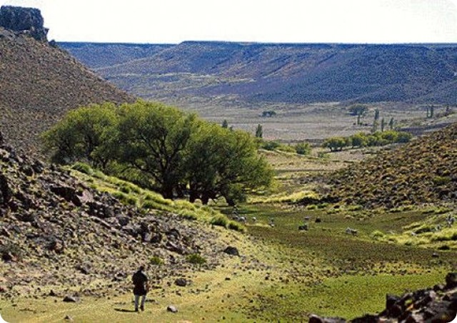 estepa-patagonica1