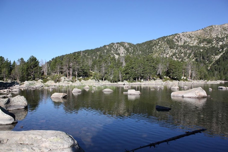 Estany de Malniu