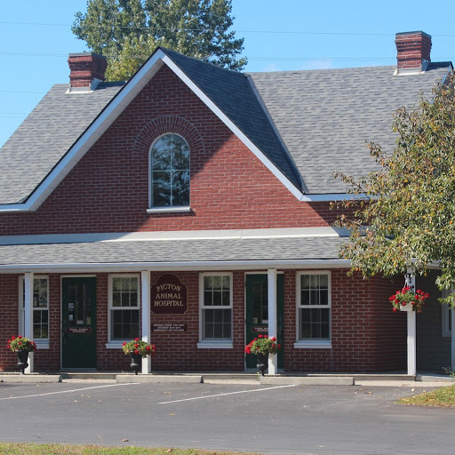 Picton Animal Hospital logo