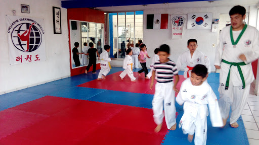 Owijarim Taekwondo México Gym Apizaco, Blvrd Lardizábal 716, San Martín de Porres, 90337 Apizaco, Tlax., México, Escuela de taekuondo | TLAX