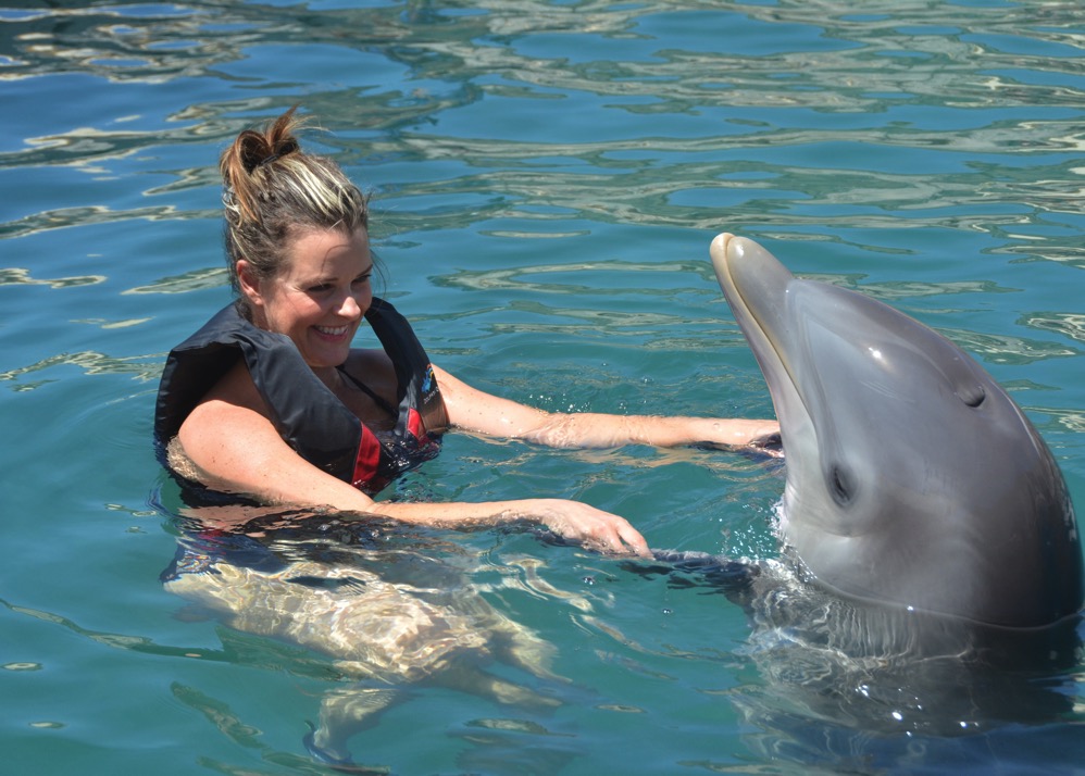 Dolphin Quest Photos BERMUDA Dolphin Dip id174018682 withBorder