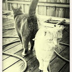 Sven and Alexis hanging out in the garden. 20120623-01-sven-alexis.jpg
