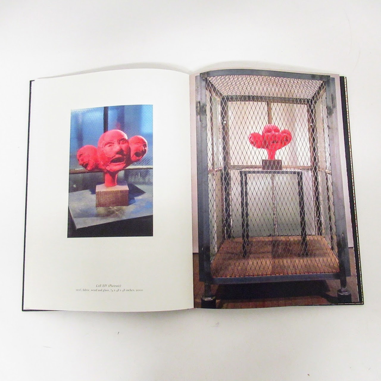 Louise Bourgeois With a Story by Raymond Carver Book