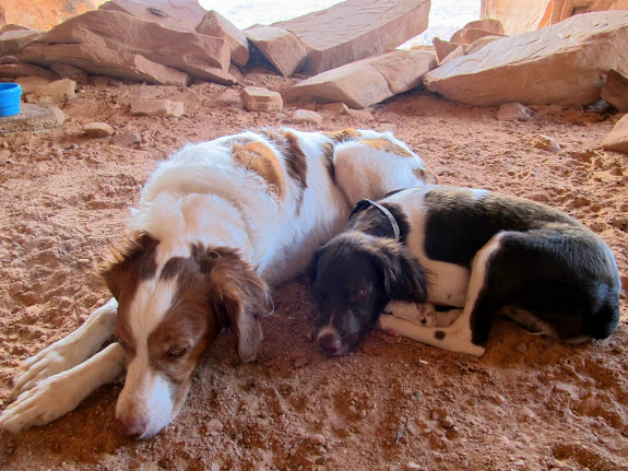 Torrey and Boulder resting under Colonnade Arch