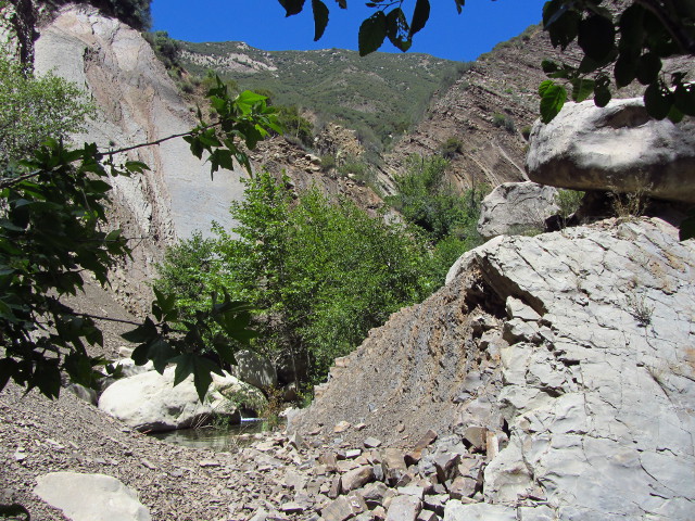 scree so bad it's covering the creek too