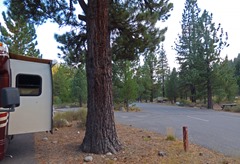 Granite Flat NF Campground 