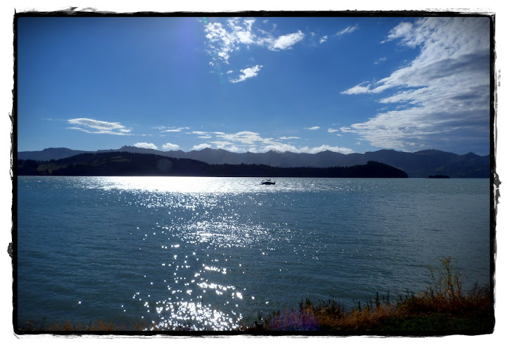 Christchurch y Akaroa - Te Wai Pounamu, verde y azul (Nueva Zelanda isla Sur) (6)