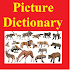 Picture Dictionary1.0