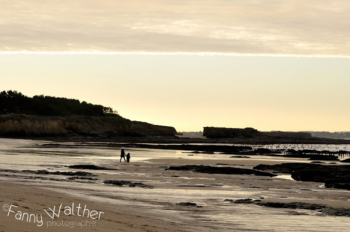 Juste ... la mer DSC_3090