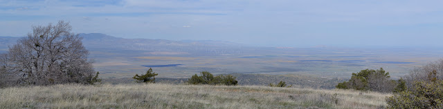 Tehachapi windmills