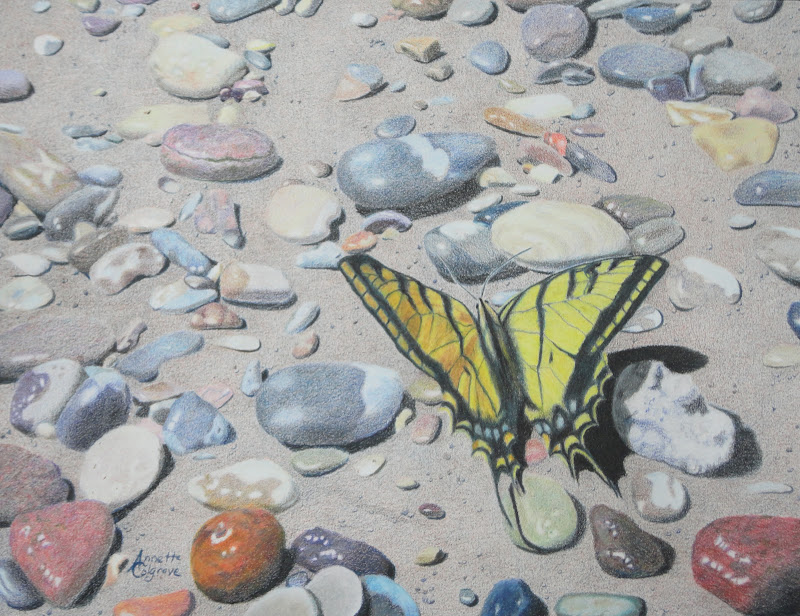 Butterfly Sunbather - Original Painting
