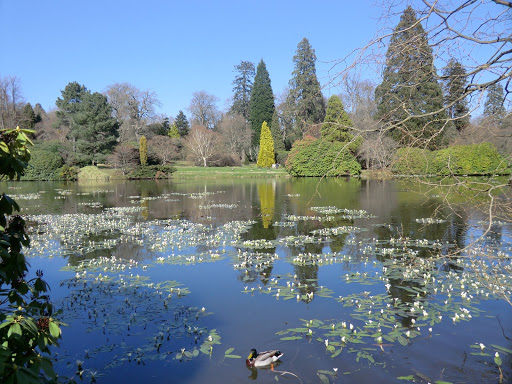 CIMG2300 Sheffield Park and Garden