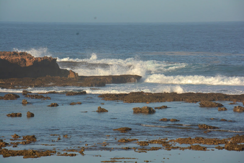DSC 9118