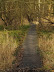 Boardwalk through the Dunwich river valley