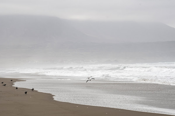 Minimal pacifico di Nefti-Monica