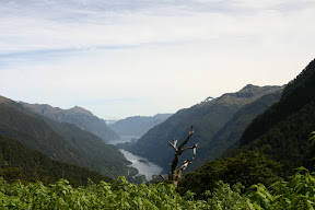 Doubtful Sound, viewed from atop the Wilmot Pass