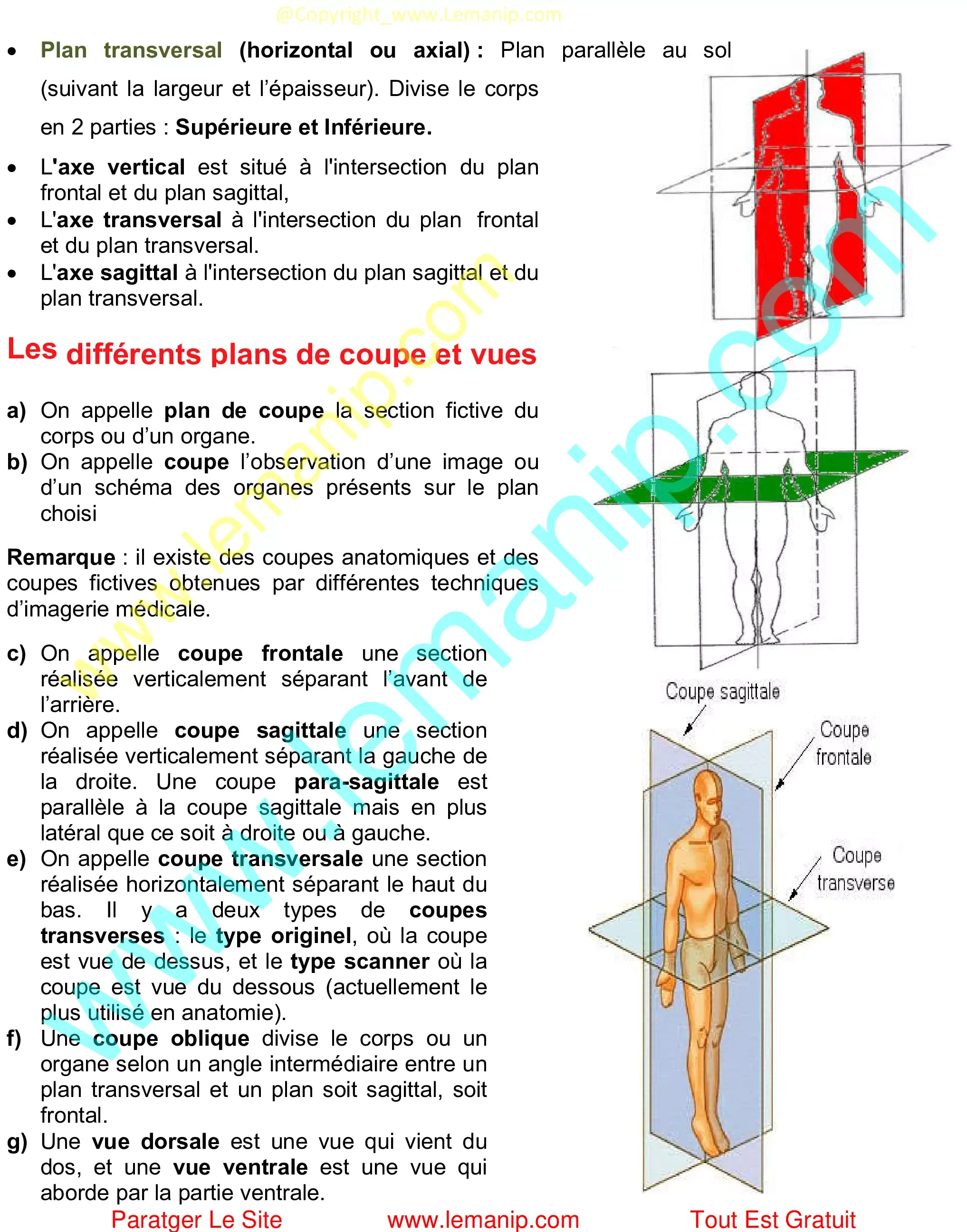 plans de coupe et vues