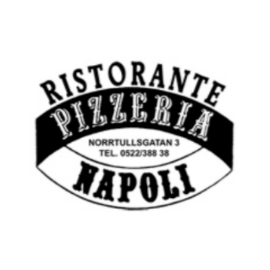 Ristorante Pizzeria Napoli logo