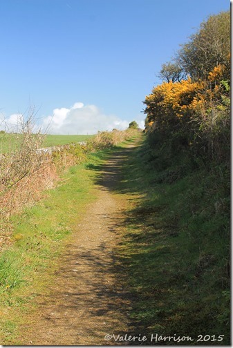 4-Knockbrex-Hill-path