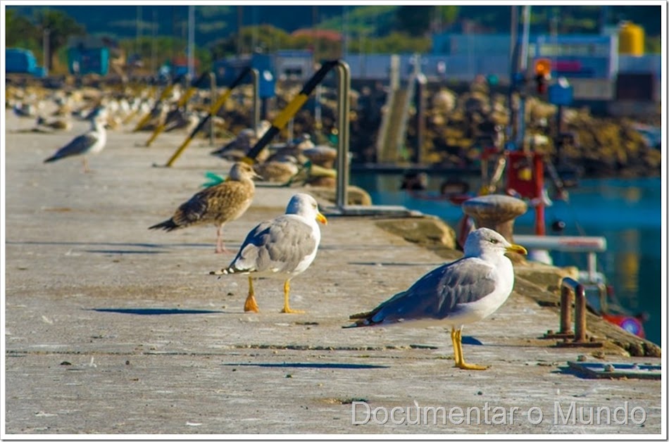 O que visitar na Nazaré, pontos de interesse Nazaré, locais turísticos Nazaré