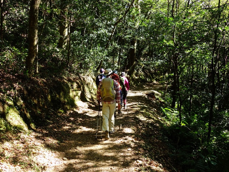 2013_1207 東滿步道→拉卡山→北插天山水源地_078