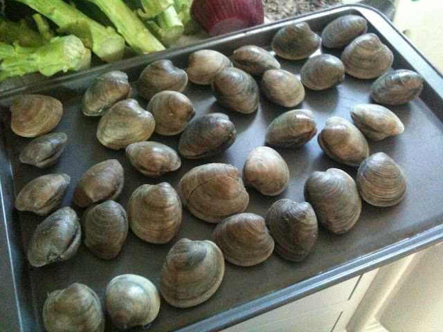 clams from Long Island ready to be opened