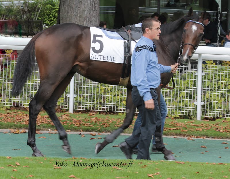 Photos Auteuil 26-09-2015 IMG_4059