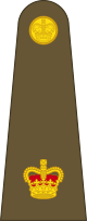 파일:external/upload.wikimedia.org/80px-British_Army_OF-3.svg.png