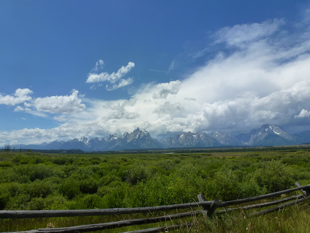 Vuelo a Jackson Hole. PN de Grand Teton. Llegada a PN Yellowstone. 11 Julio. - LAS ROCOSAS DE CANADA. YELLOWSTONE Y GRAND TETON. (12)