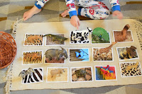 Animal Skin Covers Sensorial Matching Activity for Preschoolers