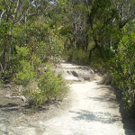 Track to Copelands Lookout (9452)