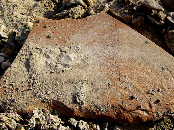 Broken metate