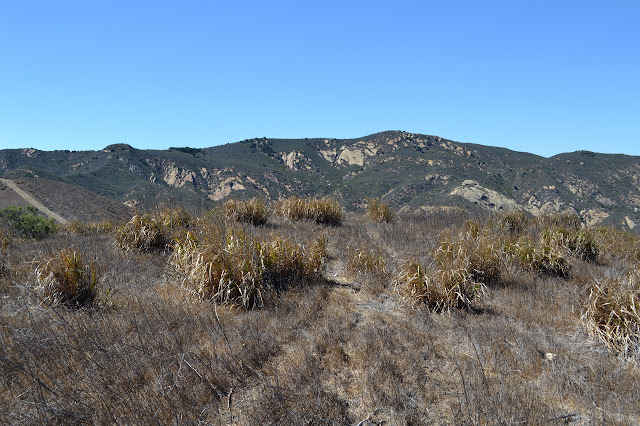 hill with grass on it