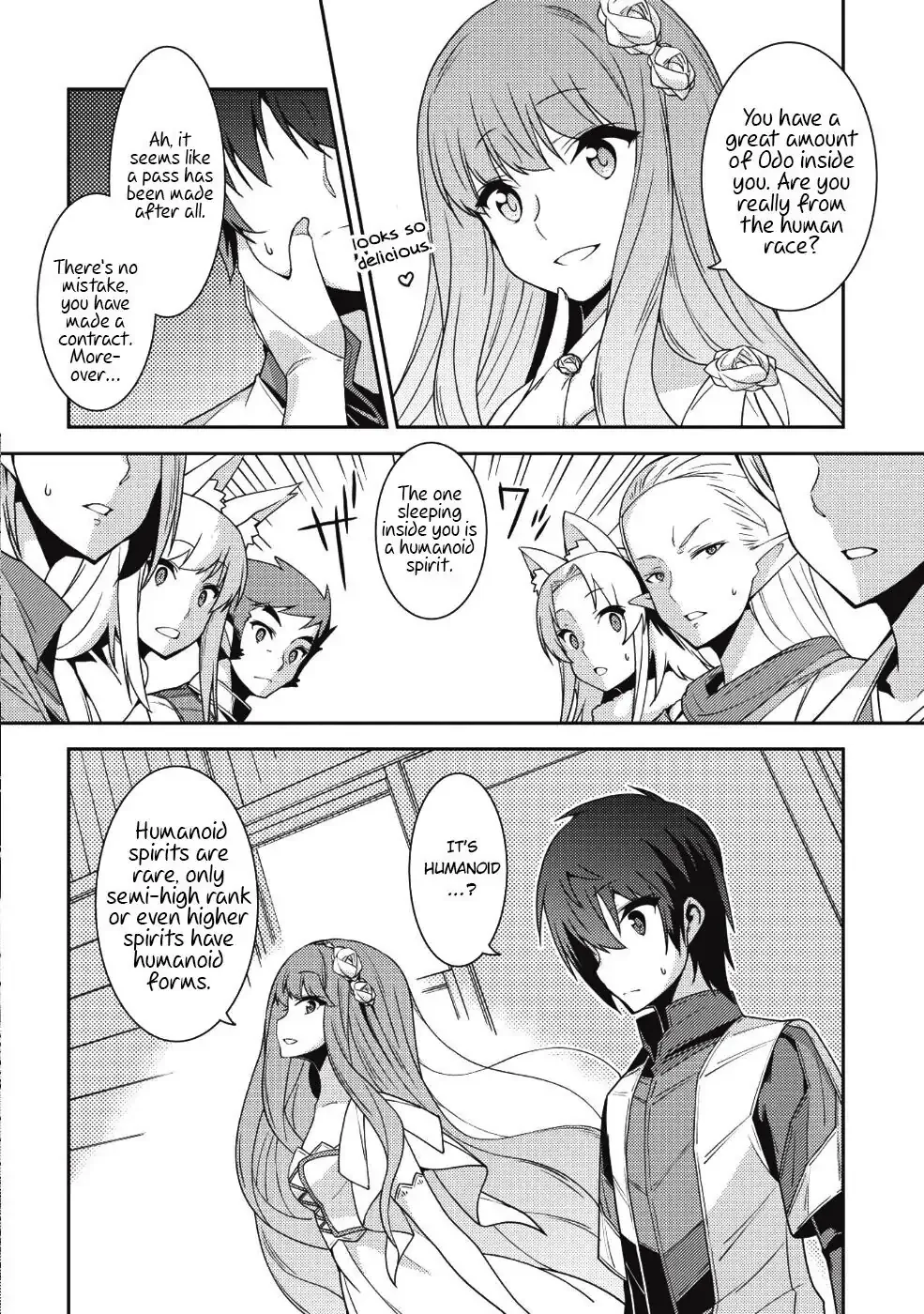 Seirei Gensouki Page 17