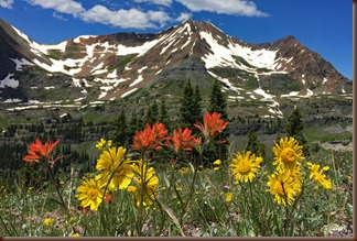 Crested Butte42-9 Jul 2016