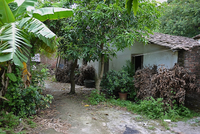 building in a tropical setting in Hetoupu, Zhuhai, China