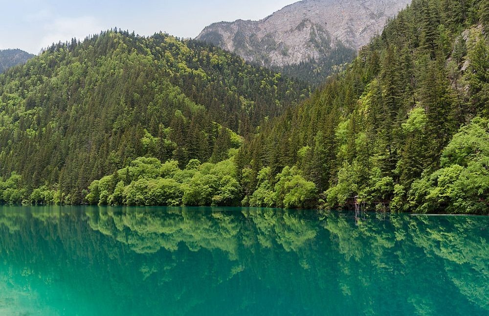 رحلة مصورة الى وادي جيوتشايقو Panda-lake-12